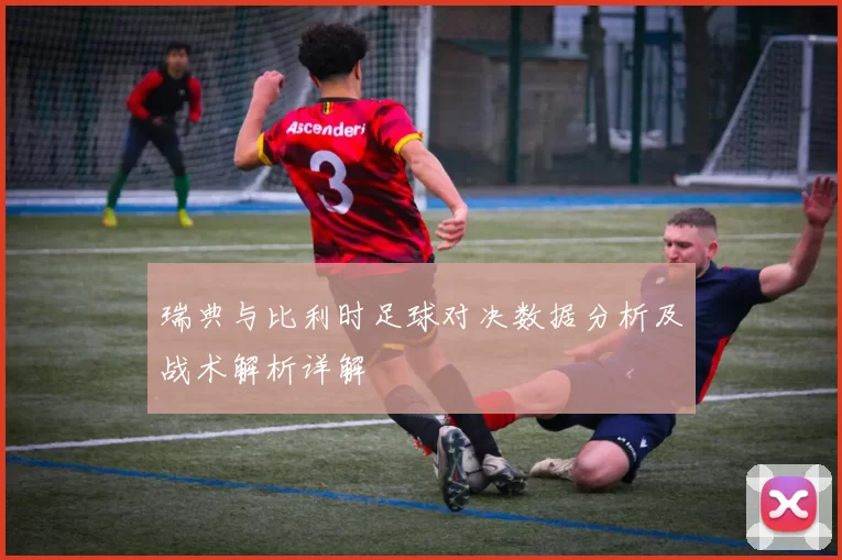 瑞典与比利时足球对决数据分析及战术解析详解