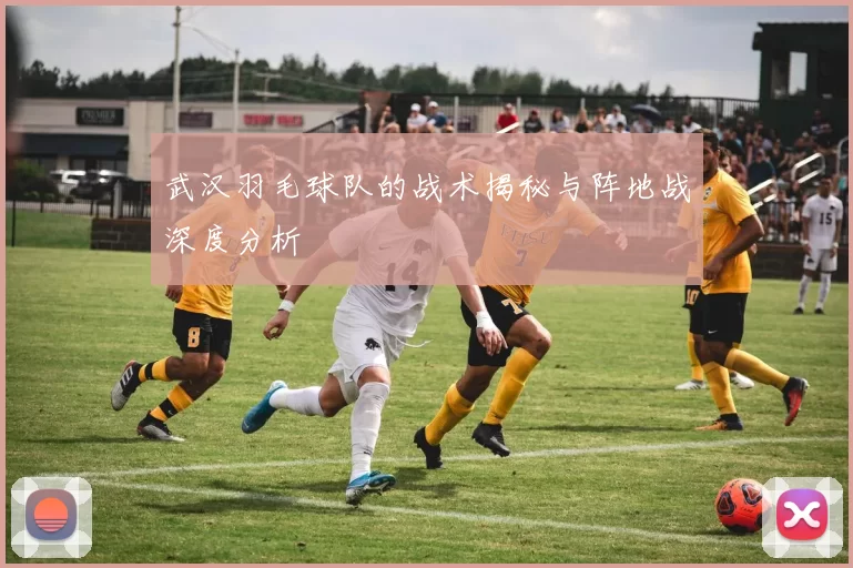 武汉羽毛球队的战术揭秘与阵地战深度分析