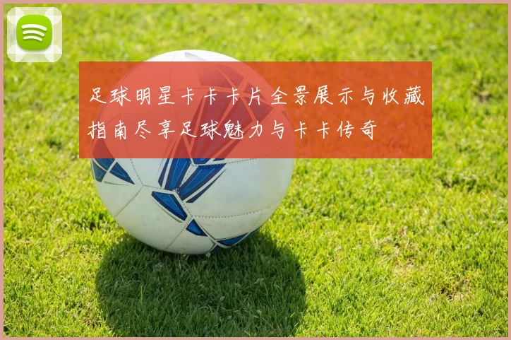 足球明星卡卡卡片全景展示与收藏指南尽享足球魅力与卡卡传奇