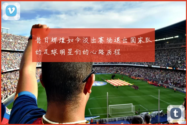 昔日辉煌如今淡出赛场退出国家队的足球明星们的心路历程