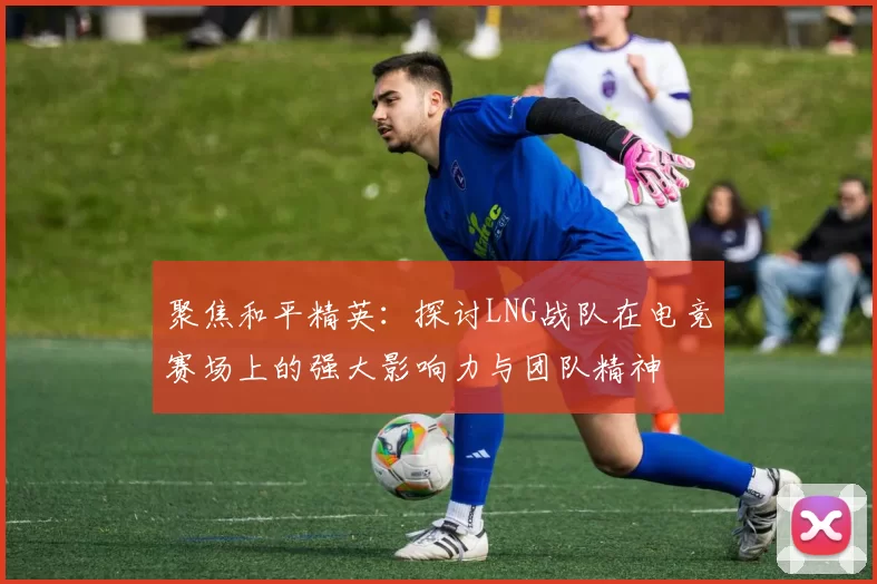 聚焦和平精英：探讨LNG战队在电竞赛场上的强大影响力与团队精神