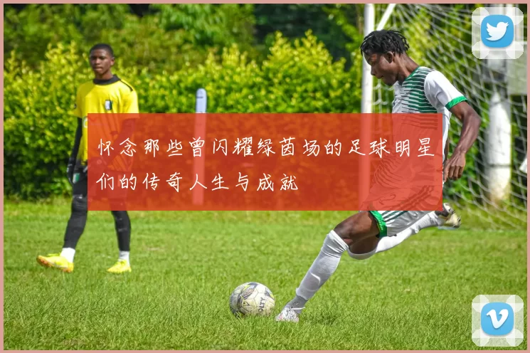 怀念那些曾闪耀绿茵场的足球明星们的传奇人生与成就