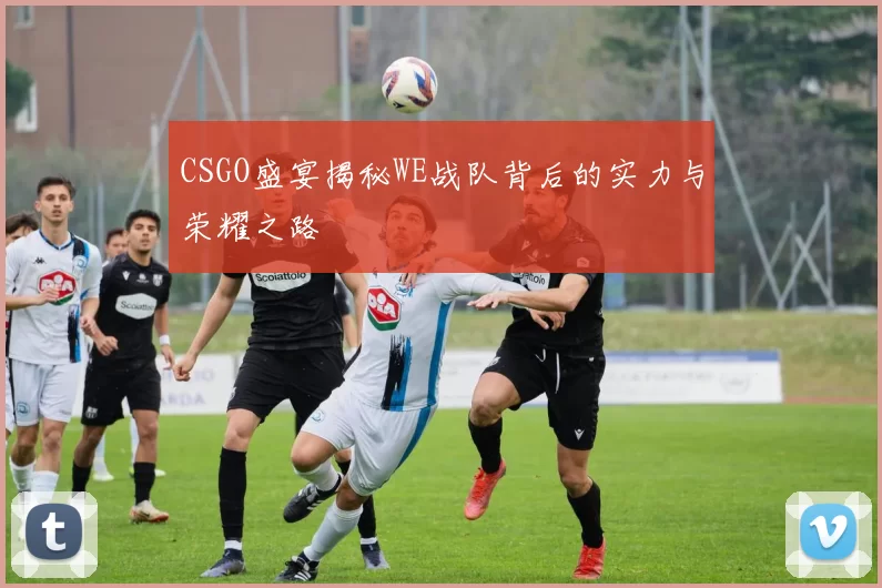 CSGO盛宴揭秘WE战队背后的实力与荣耀之路