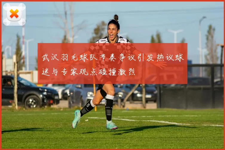 武汉羽毛球队节奏争议引发热议球迷与专家观点碰撞激烈