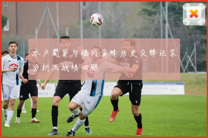 水户蜀葵与福冈黄蜂历史交锋记录分析及战绩回顾