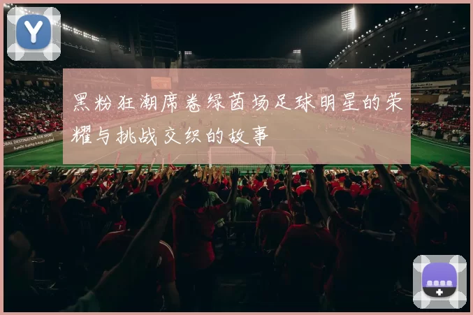 黑粉狂潮席卷绿茵场足球明星的荣耀与挑战交织的故事