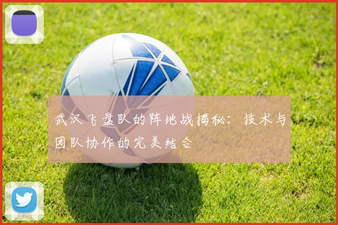 武汉飞盘队的阵地战揭秘：技术与团队协作的完美结合