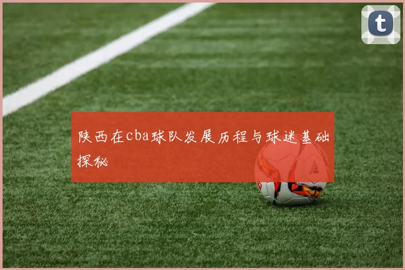 陕西在cba球队发展历程与球迷基础探秘