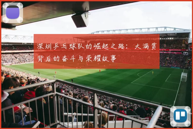 深圳乒乓球队的崛起之路：大满贯背后的奋斗与荣耀故事