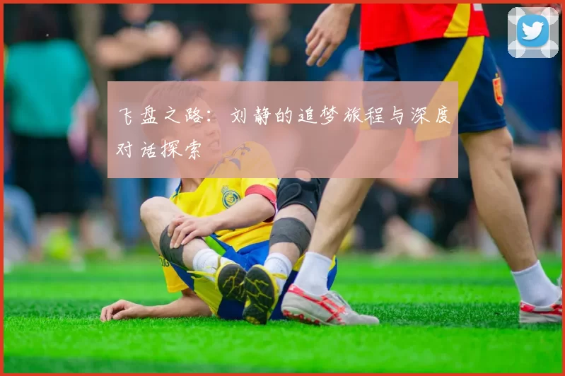 飞盘之路：刘静的追梦旅程与深度对话探索
