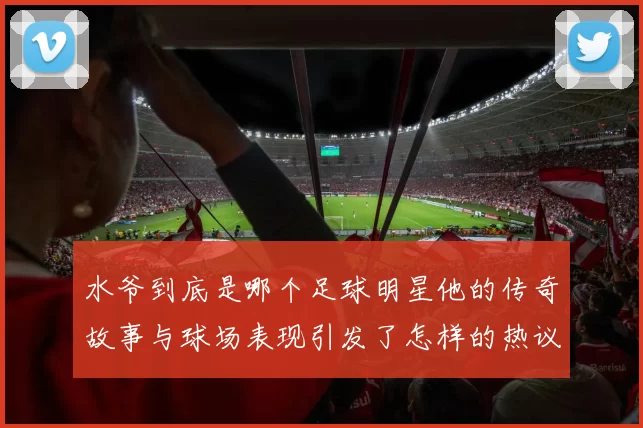 水爷到底是哪个足球明星他的传奇故事与球场表现引发了怎样的热议