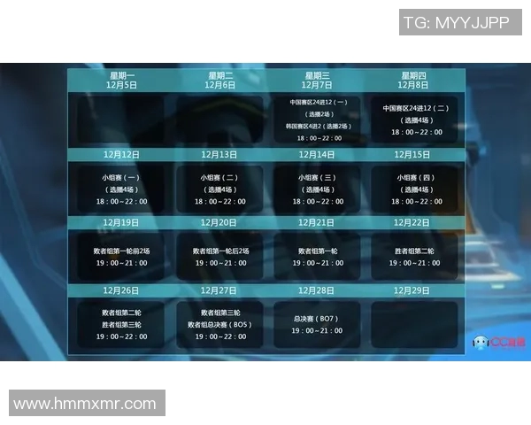V5战队区域防守策略分析及其在比赛中的成效探讨